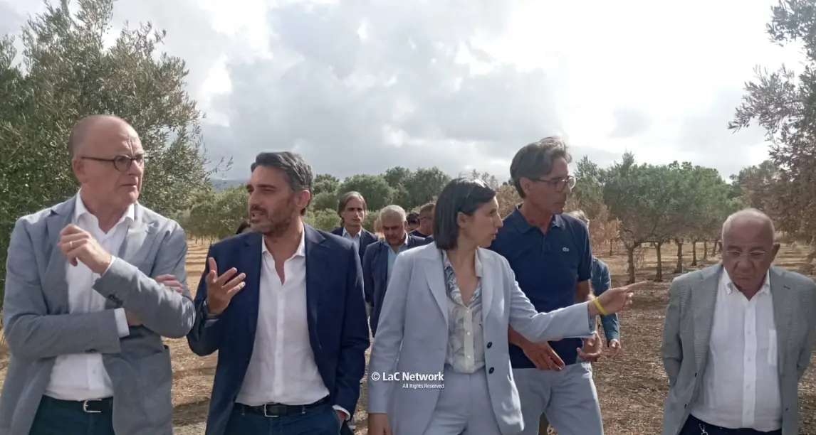 Valle del Marro sotto attacco, il sostegno di Elly Schlein: «La ’ndrangheta ha paura di questa coop, saremo al suo fianco»