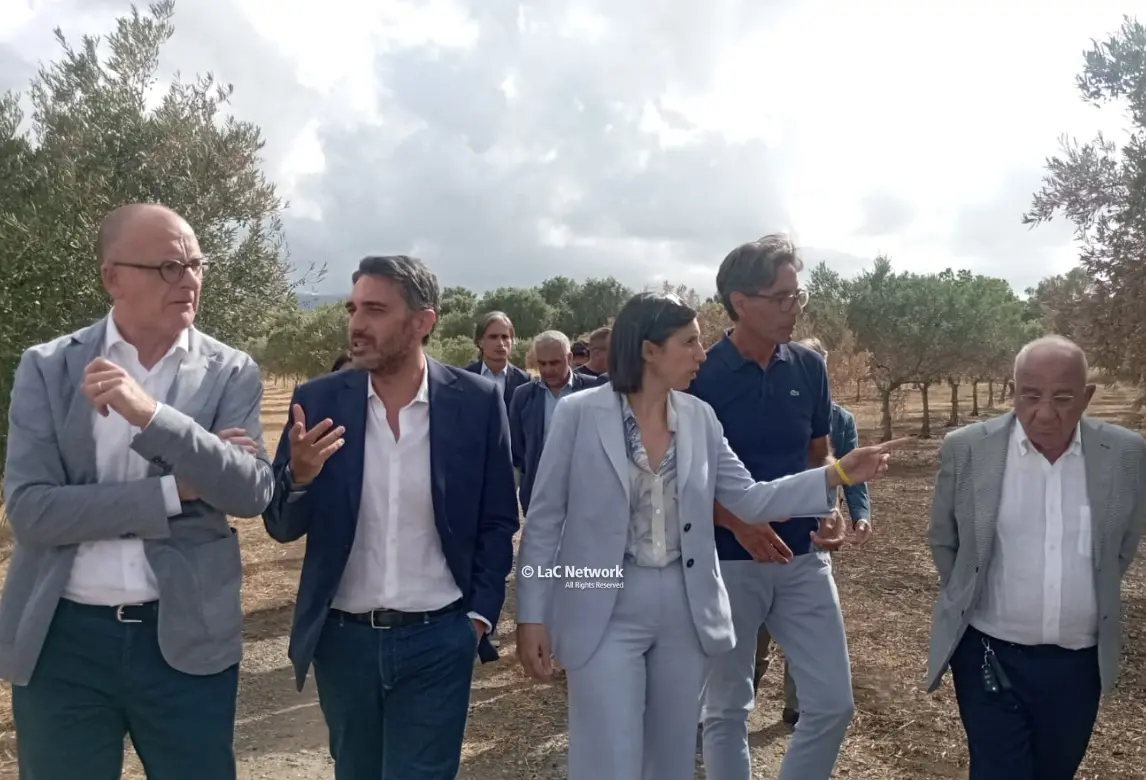 Valle del Marro sotto attacco, il sostegno di Elly Schlein: «La ’ndrangheta ha paura di questa coop, saremo al suo fianco»\n