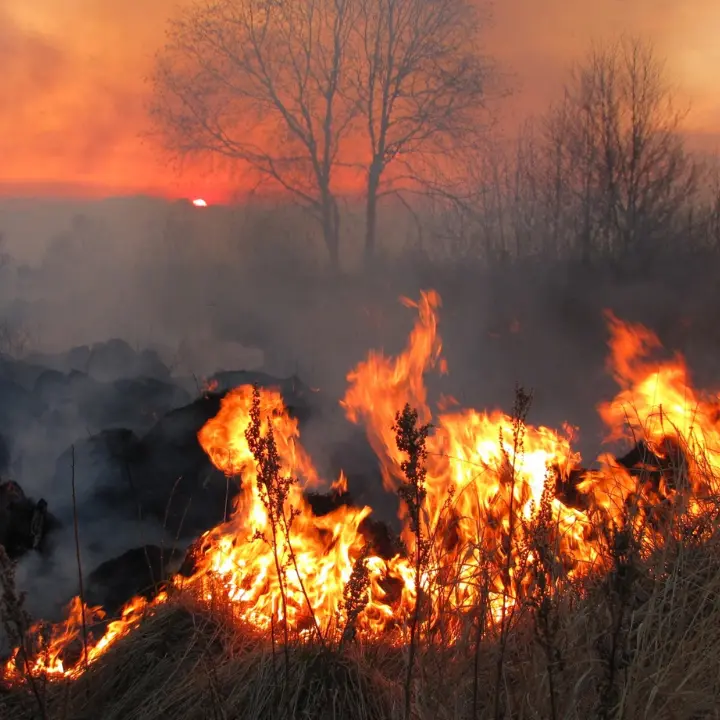 Gli incendi divorano la Calabria, Graziano: «Serve uno sforzo straordinario. Lo Stato non abbandoni le Regioni»\n