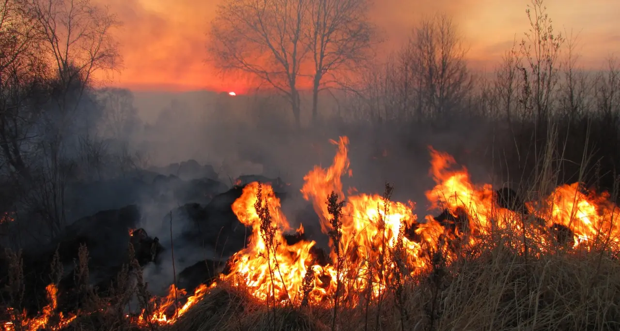 Gli incendi divorano la Calabria, Graziano: «Serve uno sforzo straordinario. Lo Stato non abbandoni le Regioni»\n