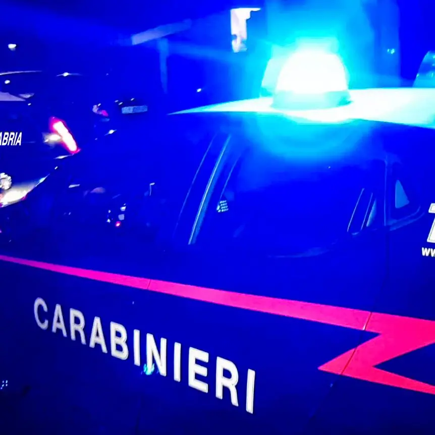 Gioia Tauro, uccise il compagno facendo credere a una morte naturale: 63enne arrestata dai carabinieri\n