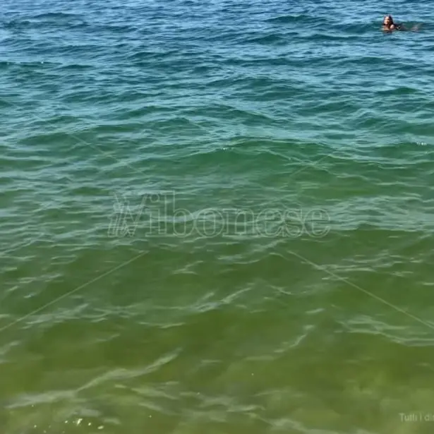 Mare verde tra Lamezia e Pizzo: proteste dagli operatori turistici: «Intervenire per salvare la stagione»\u00A0\n