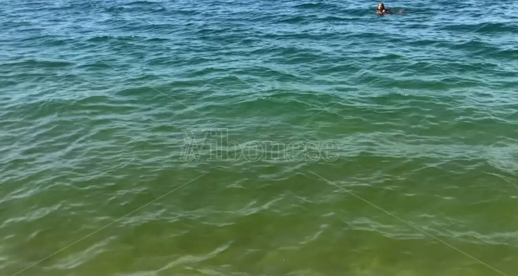 Mare verde tra Lamezia e Pizzo: proteste dagli operatori turistici: «Intervenire per salvare la stagione»\u00A0\n