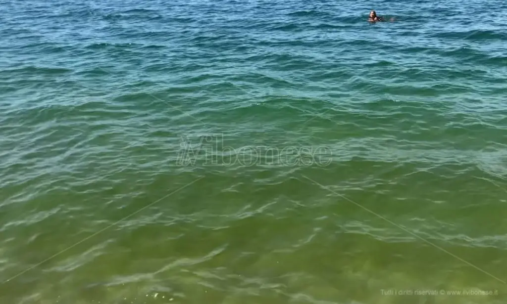 Mare verde tra Lamezia e Pizzo: proteste dagli operatori turistici: «Intervenire per salvare la stagione»\u00A0\n