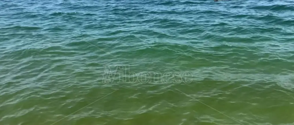 Mare verde tra Lamezia e Pizzo: proteste dagli operatori turistici: «Intervenire per salvare la stagione»\u00A0\n