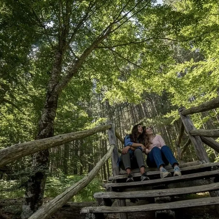 Dai trekking al tramonto alla musica tradizionale: la riserva I giganti della Sila protagonista delle Sere Fai d’Estate\n