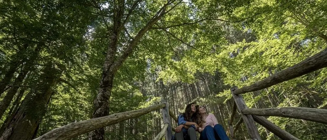 Dai trekking al tramonto alla musica tradizionale: la riserva I giganti della Sila protagonista delle Sere Fai d’Estate\n