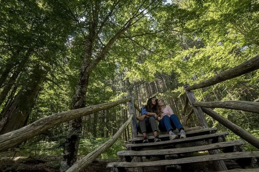 Dai trekking al tramonto alla musica tradizionale: la riserva I giganti della Sila protagonista delle Sere Fai d’Estate\n