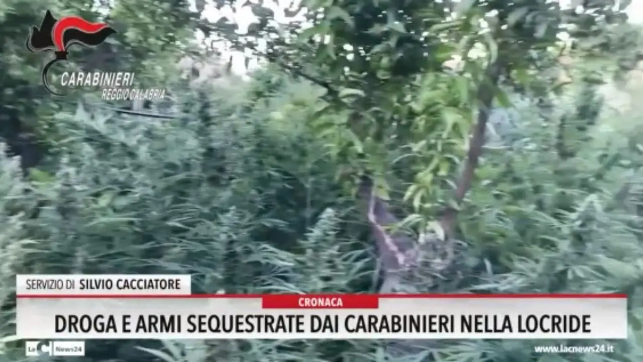 Droga e armi sequestrate dai carabinieri nella Locride