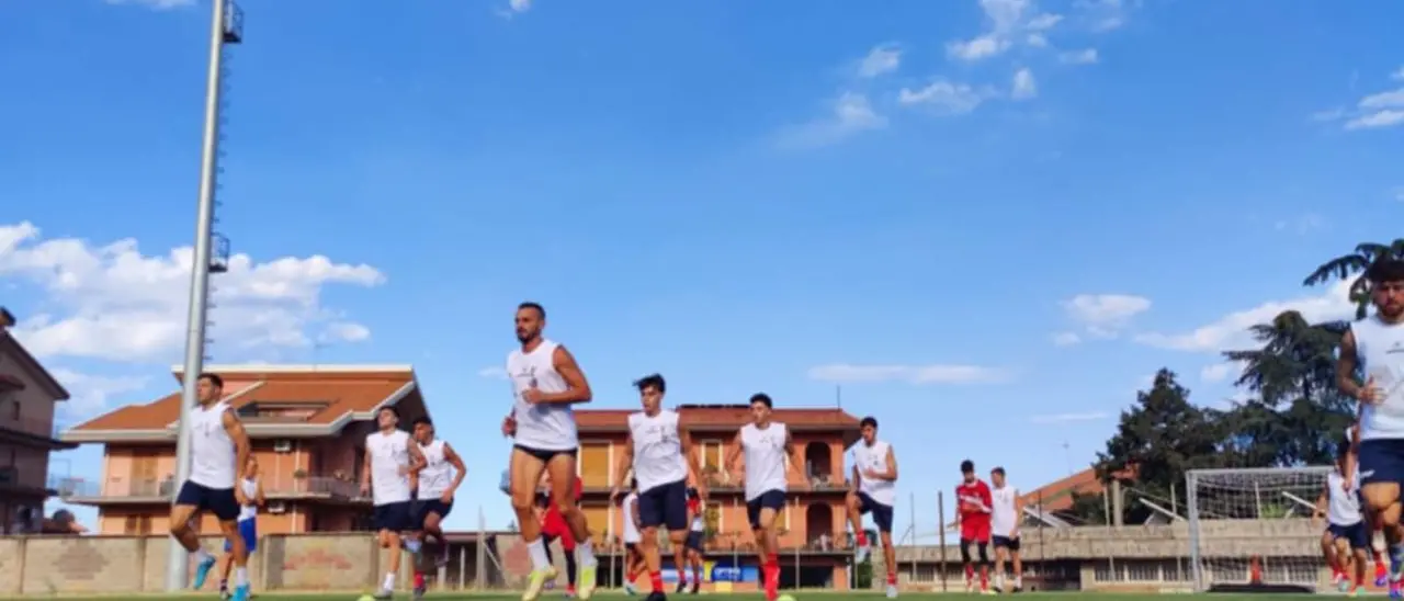 Serie D, la Vibonese scalda i motori: prime amichevoli contro\u00A0Pedara, Atletico Catania e Igea Virtus\n