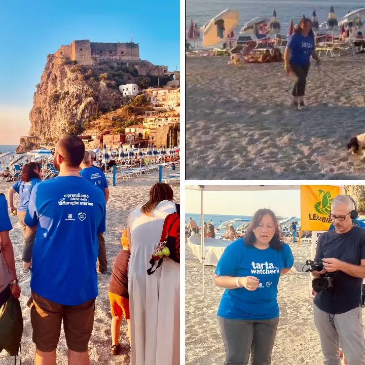 Bum Bum e Blade, a Scilla arrivano i Tarta Dogs: terranno al sicuro\u00A0i nidi di Caretta Caretta\n