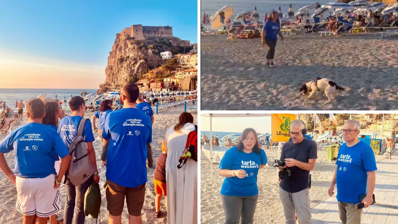 Bum Bum e Blade, a Scilla arrivano i Tarta Dogs: terranno al sicuro\u00A0i nidi di Caretta Caretta\n