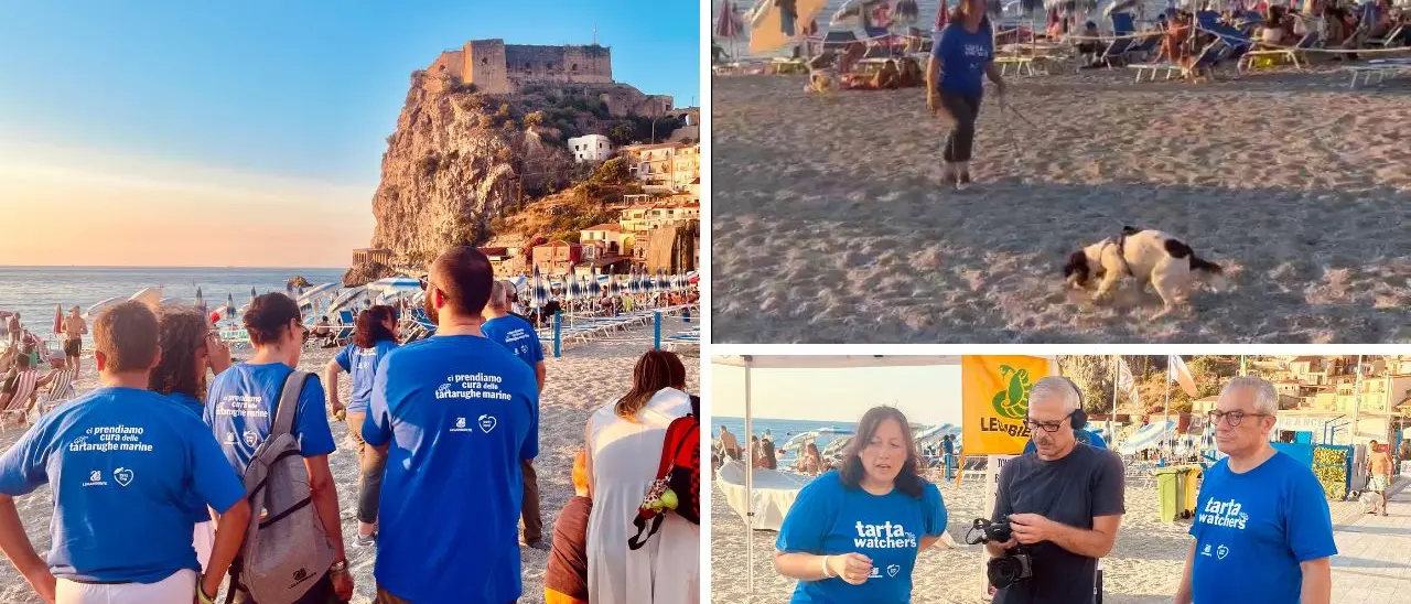 Bum Bum e Blade, a Scilla arrivano i Tarta Dogs: terranno al sicuro\u00A0i nidi di Caretta Caretta\n