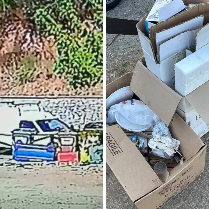 Acri, abbandono illecito di rifiuti nel parco pubblico: il video finisce sui social\n