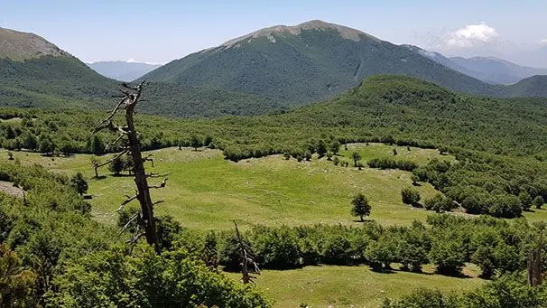 <p>Il Parco del Pollino</p>\\n