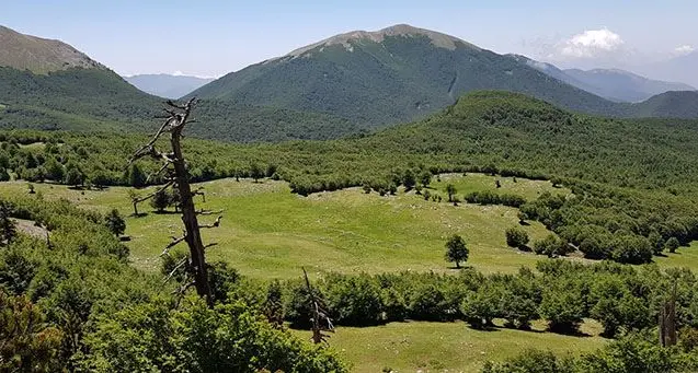 Saracena, escursionisti pugliesi smarriscono\u00A0il sentiero nel Parco del Pollino: rintracciati e soccorsi\n