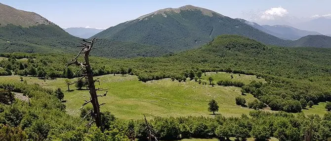 Saracena, escursionisti pugliesi smarriscono\u00A0il sentiero nel Parco del Pollino: rintracciati e soccorsi\n