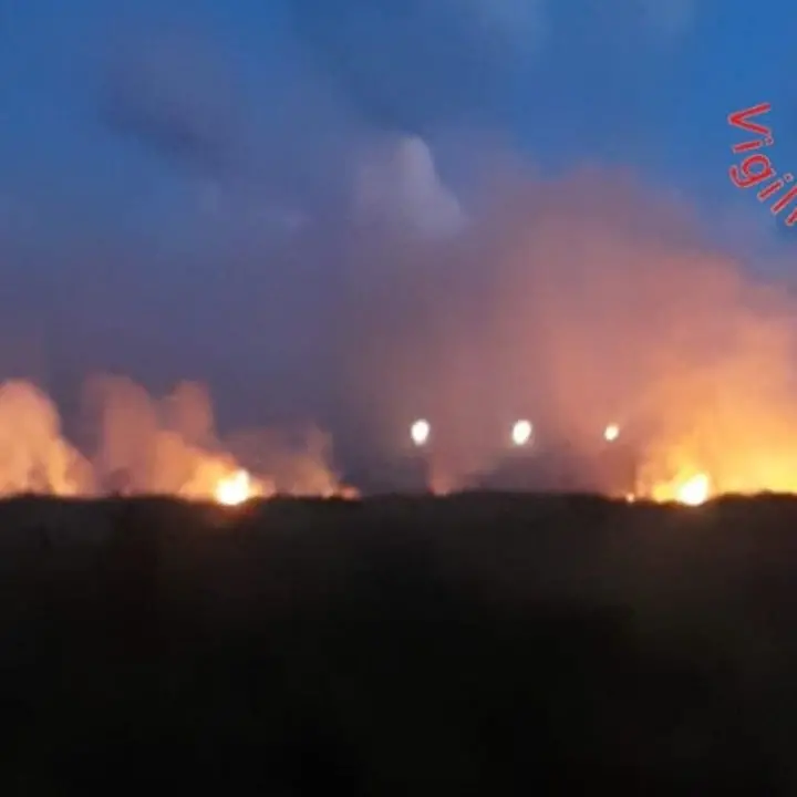 Incendio a Lamezia Terme: in fiamme canneti,\u00A0macchia mediterranea e rifiuti abbandonati nell’area dell’ex zuccherificio\n