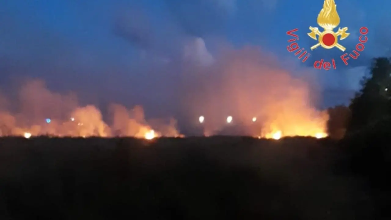 Incendio a Lamezia Terme: in fiamme canneti,\u00A0macchia mediterranea e rifiuti abbandonati nell’area dell’ex zuccherificio\n
