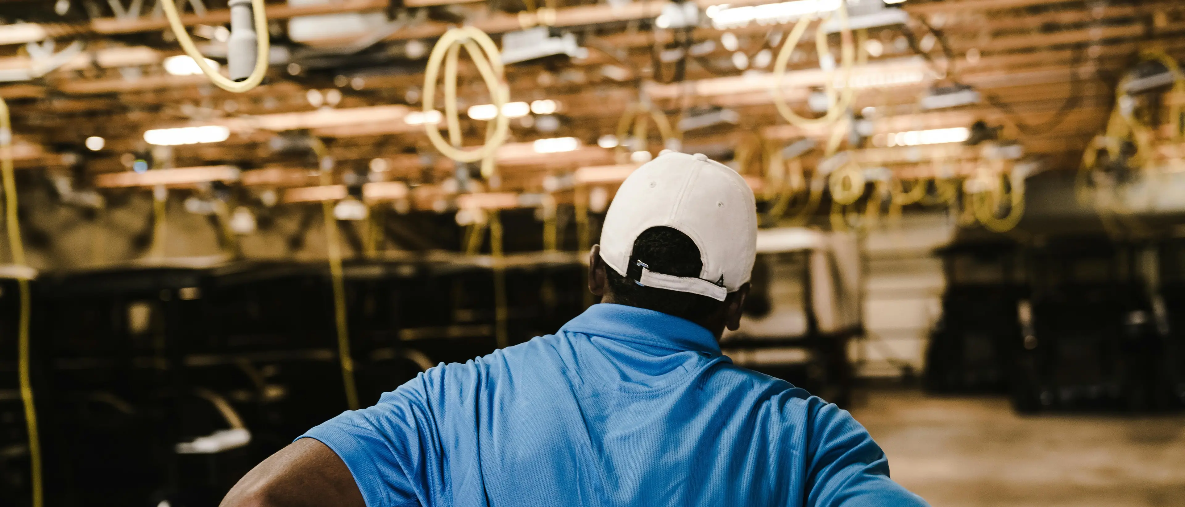 Le imprese calabresi cercano 12.630 lavoratori ad agosto,\u00A0ma mancano i candidati per le figure richieste\n