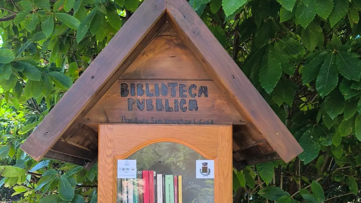 Free Library tra i castagni