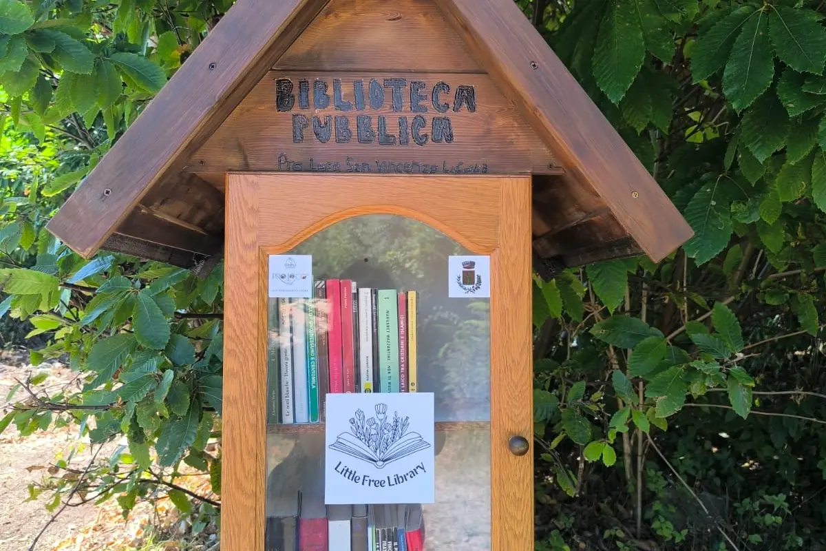 Free Library tra i castagni