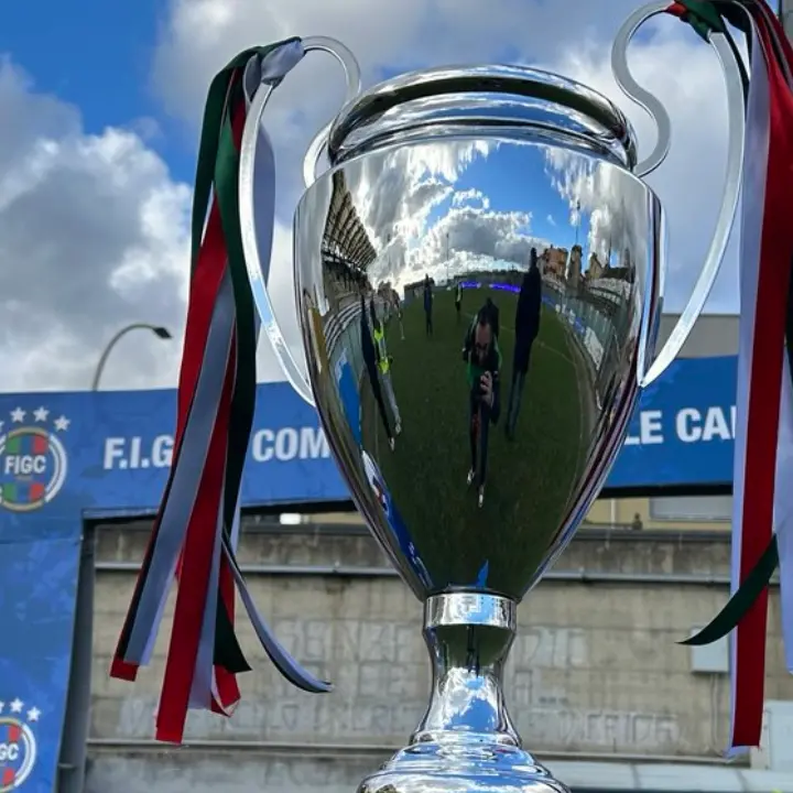 Coppa Italia di Serie D, il\u00A0primo turno riserva il derby calabrese tra Reggina e Vibonese\n