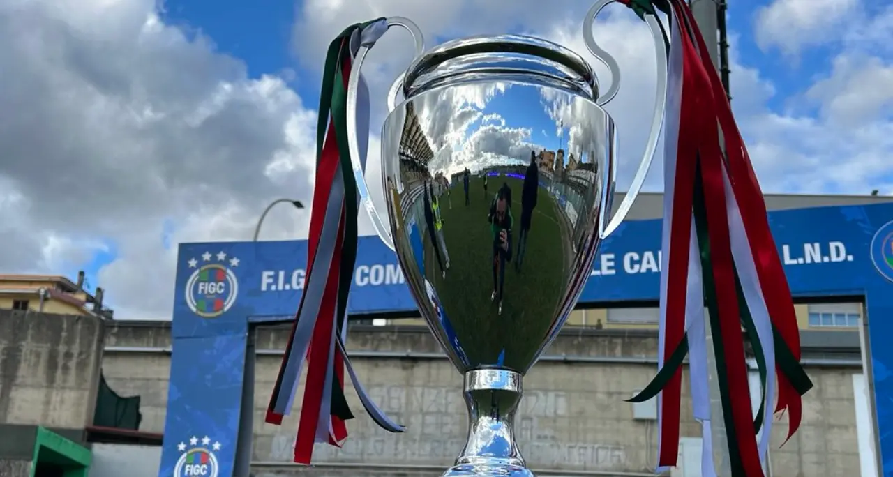 Coppa Italia di Serie D, il\u00A0primo turno riserva il derby calabrese tra Reggina e Vibonese\n