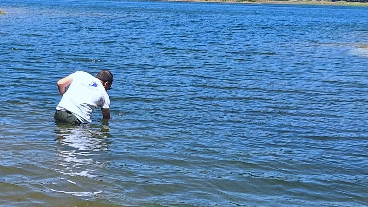 Goletta dei Laghi fa tappa in Calabria, i cinque invasi silani sono puliti «ma serve renderli balneabili»\n