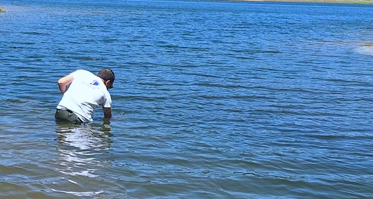 Goletta dei Laghi fa tappa in Calabria, i cinque invasi silani sono puliti «ma serve renderli balneabili»\n