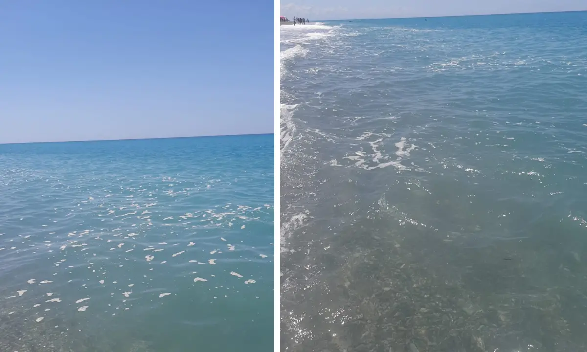 Mare sporco a Torremezzo, la rabbia dei turisti: «Ferie rovinate»