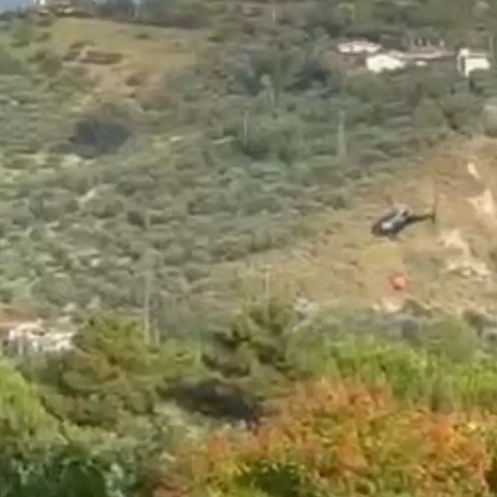 Incendio tra Zumpano e Colle Mussano: in corso le operazioni di spegnimento\n