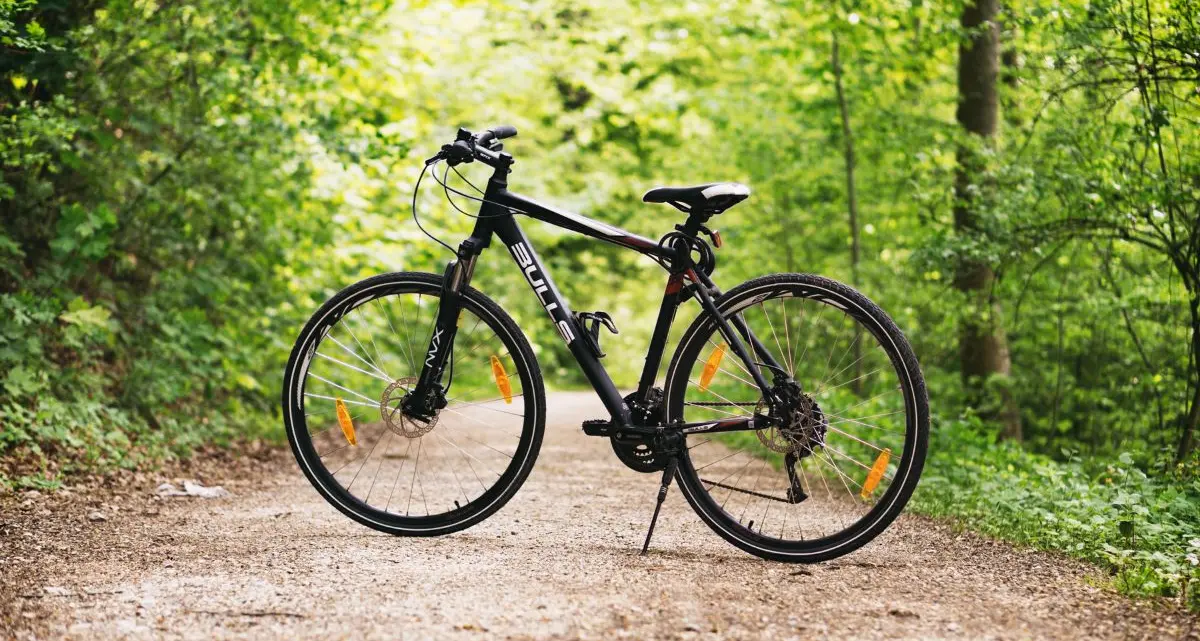 Turismo sostenibile, in Aspromonte due grandi ciclovie attraverseranno il parco\n