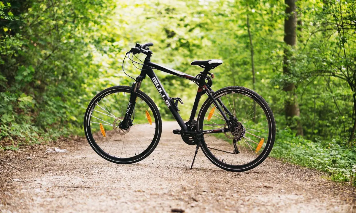 Turismo sostenibile, in Aspromonte due grandi ciclovie attraverseranno il parco\n