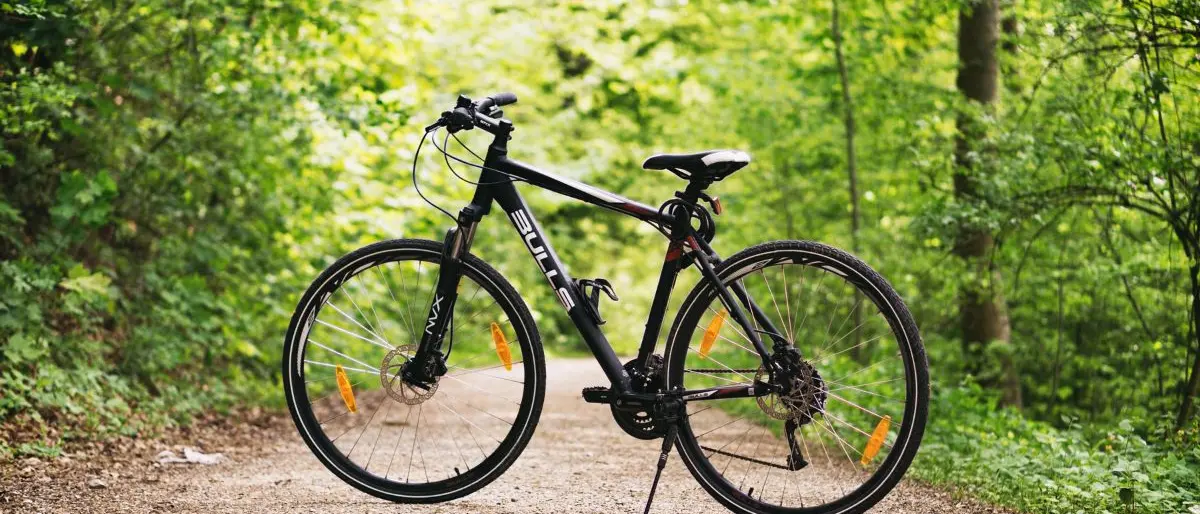 Turismo sostenibile, in Aspromonte due grandi ciclovie attraverseranno il parco\n