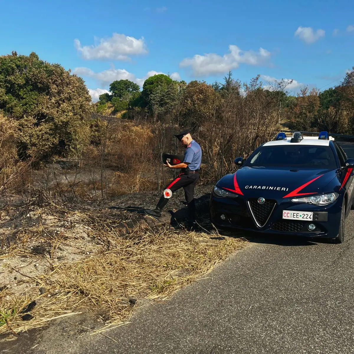 San Floro, arrestato un 35enne mentre appiccava il fuoco in un’area di macchia mediterranea e querce secolari\n