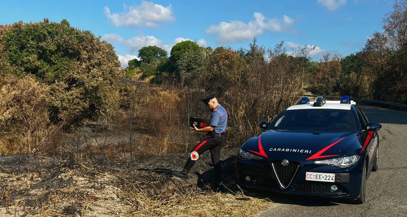San Floro, arrestato un 35enne mentre appiccava il fuoco in un’area di macchia mediterranea e querce secolari\n