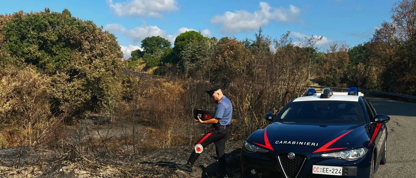 San Floro, arrestato un 35enne mentre appiccava il fuoco in un’area di macchia mediterranea e querce secolari\n