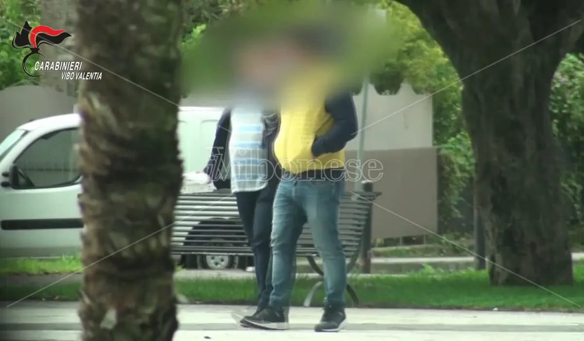 «Per fare soldi basta una risma di carta», ecco il diplomificio di Stefanaconi - Video