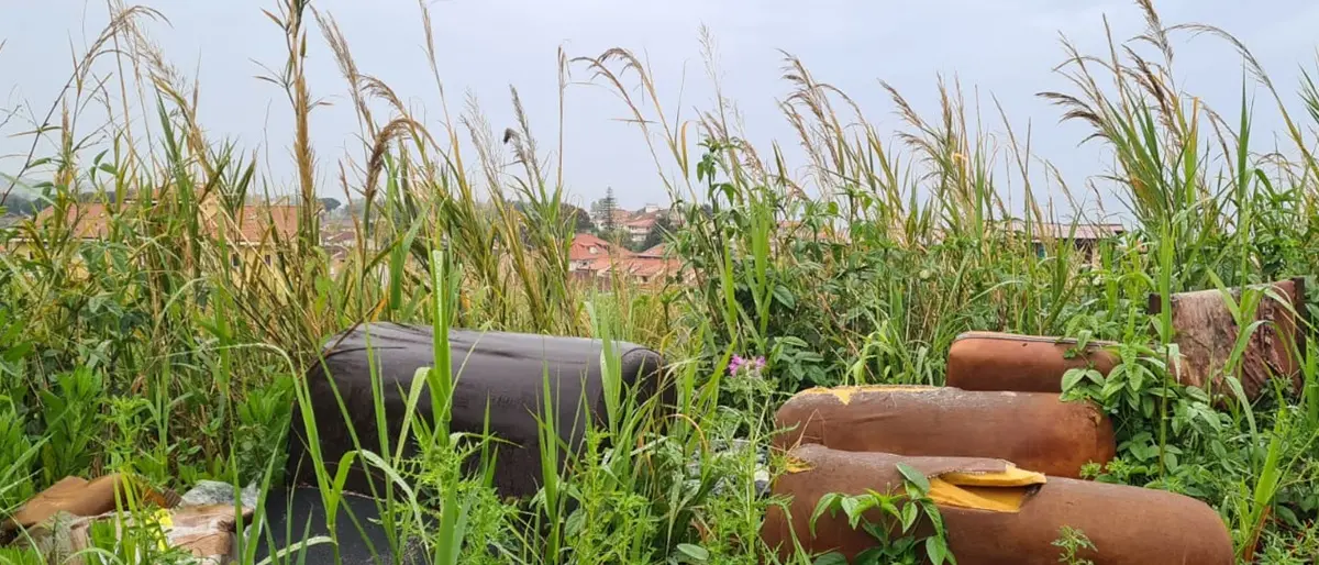 Rifiuti, topi, sporcizia. Patania: «Bivona sprofonda nel degrado»