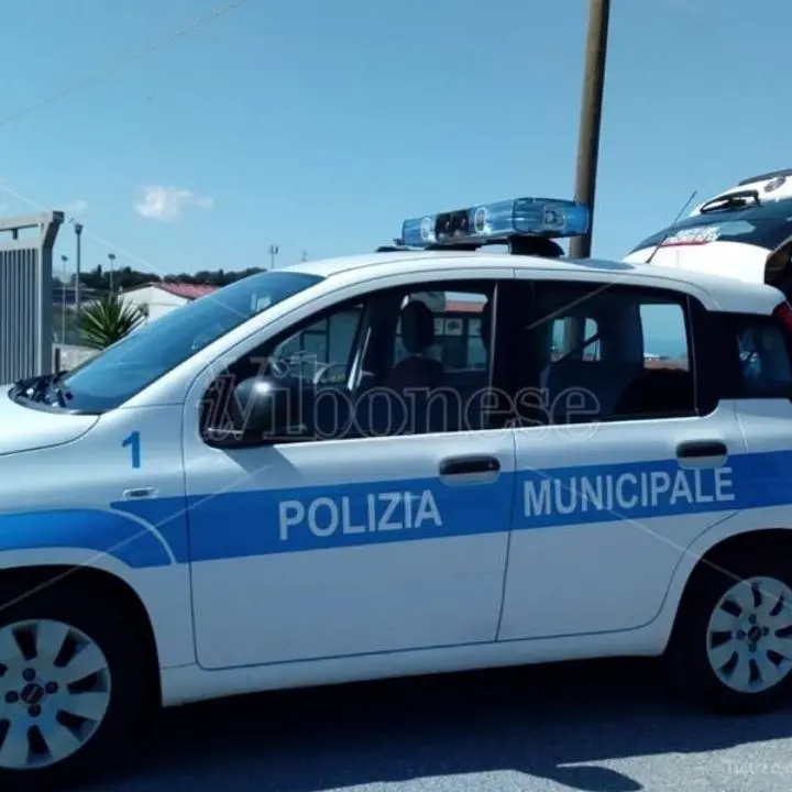 Vibo, due mesi intensi per la polizia locale: dalla lotta al Covid alla difesa dell’ambiente
