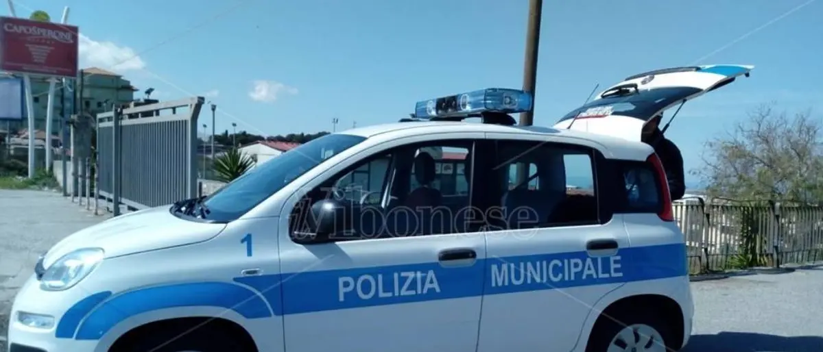 Vibo, multa a un bar per una tettoia abusiva. Sequestrati 250 chili di frutta a ambulante