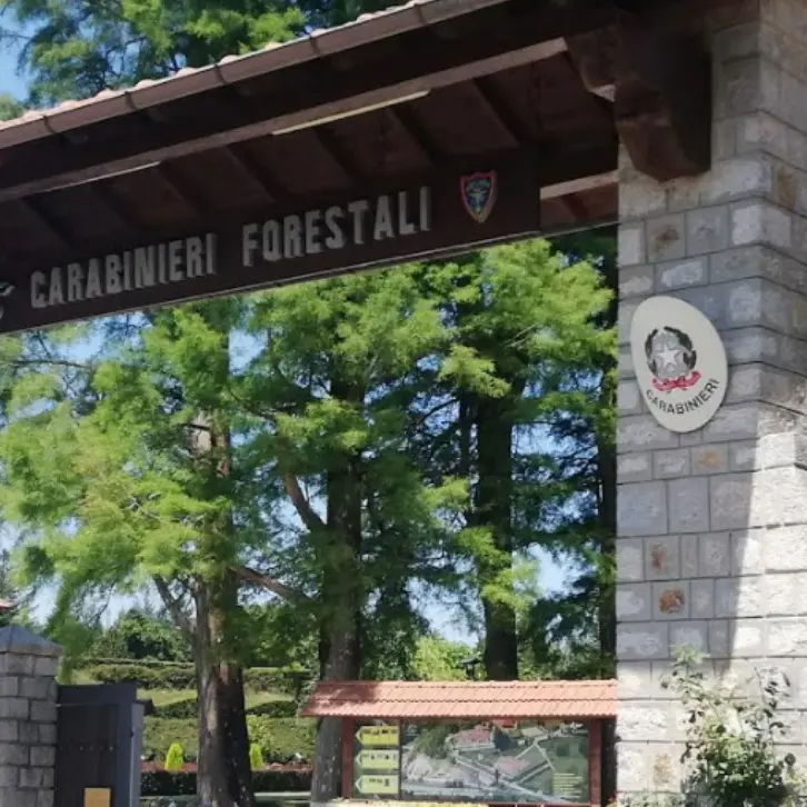 Mongiana: Villa Vittoria ospiterà la notte bianca della biodiversità