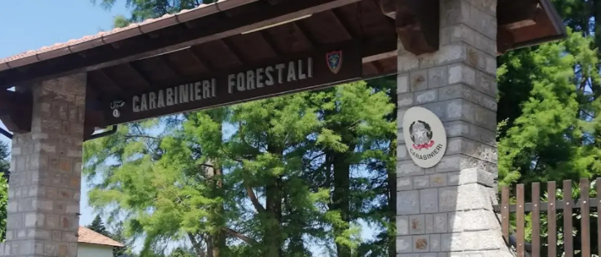 Mongiana: Villa Vittoria ospiterà la notte bianca della biodiversità