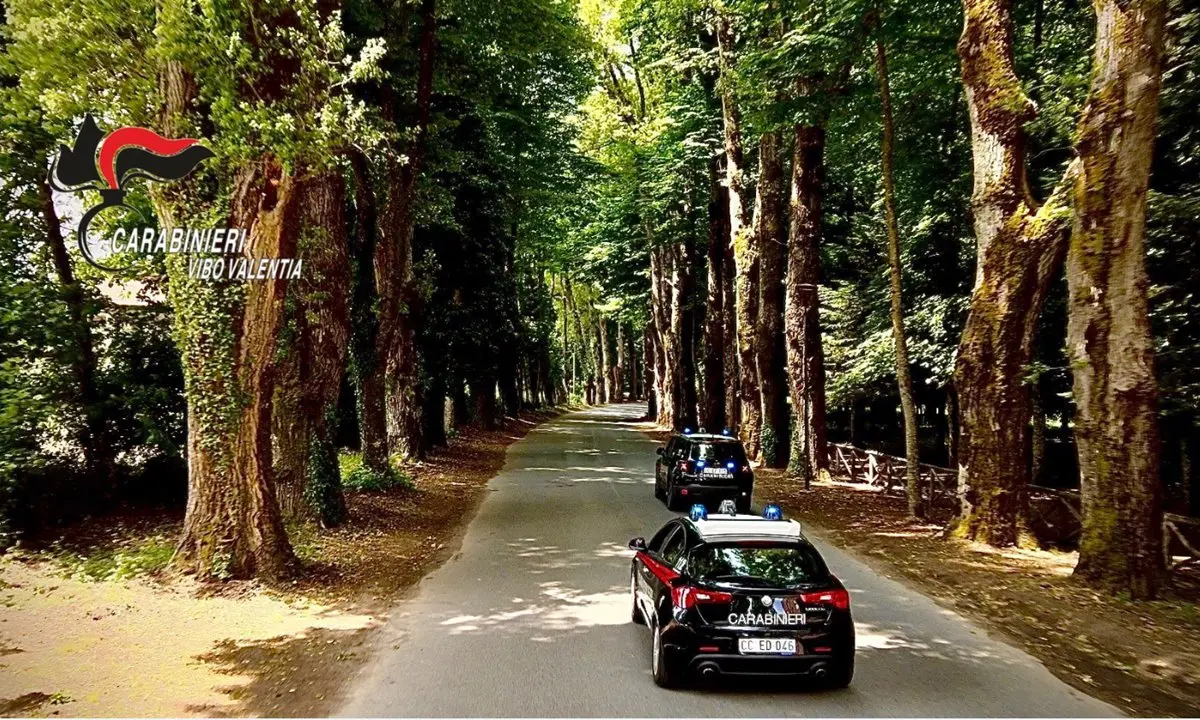 Rave party a Serra, tutti identificati e c'è anche un arrestato - Video