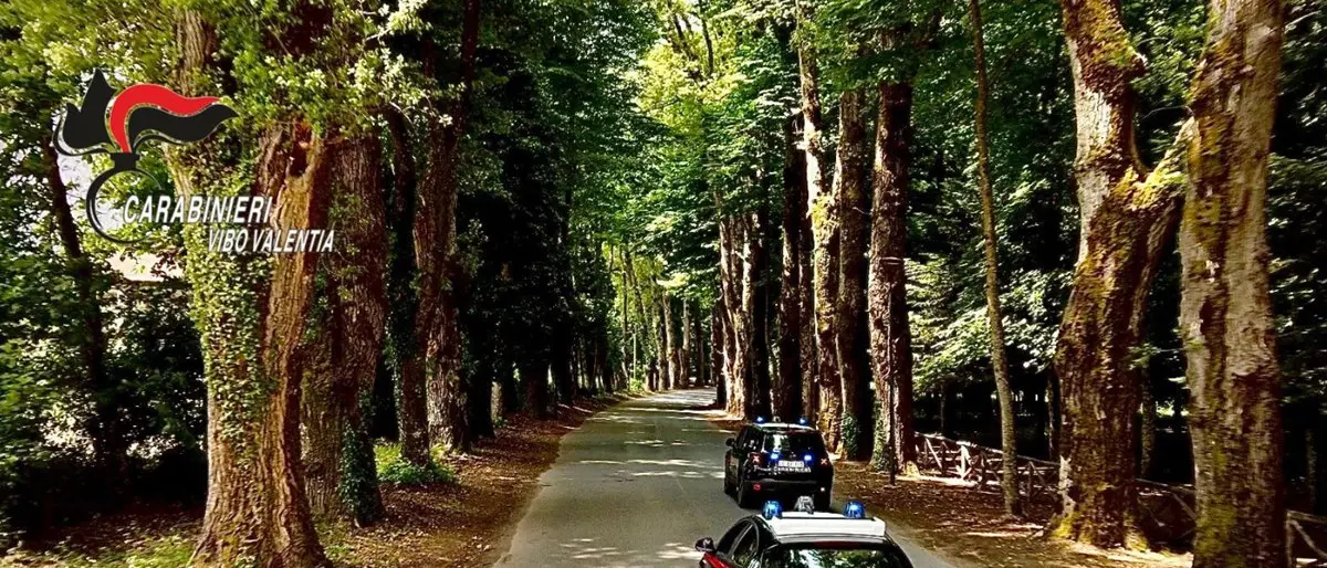 Rave party a Serra, tutti identificati e c'è anche un arrestato - Video