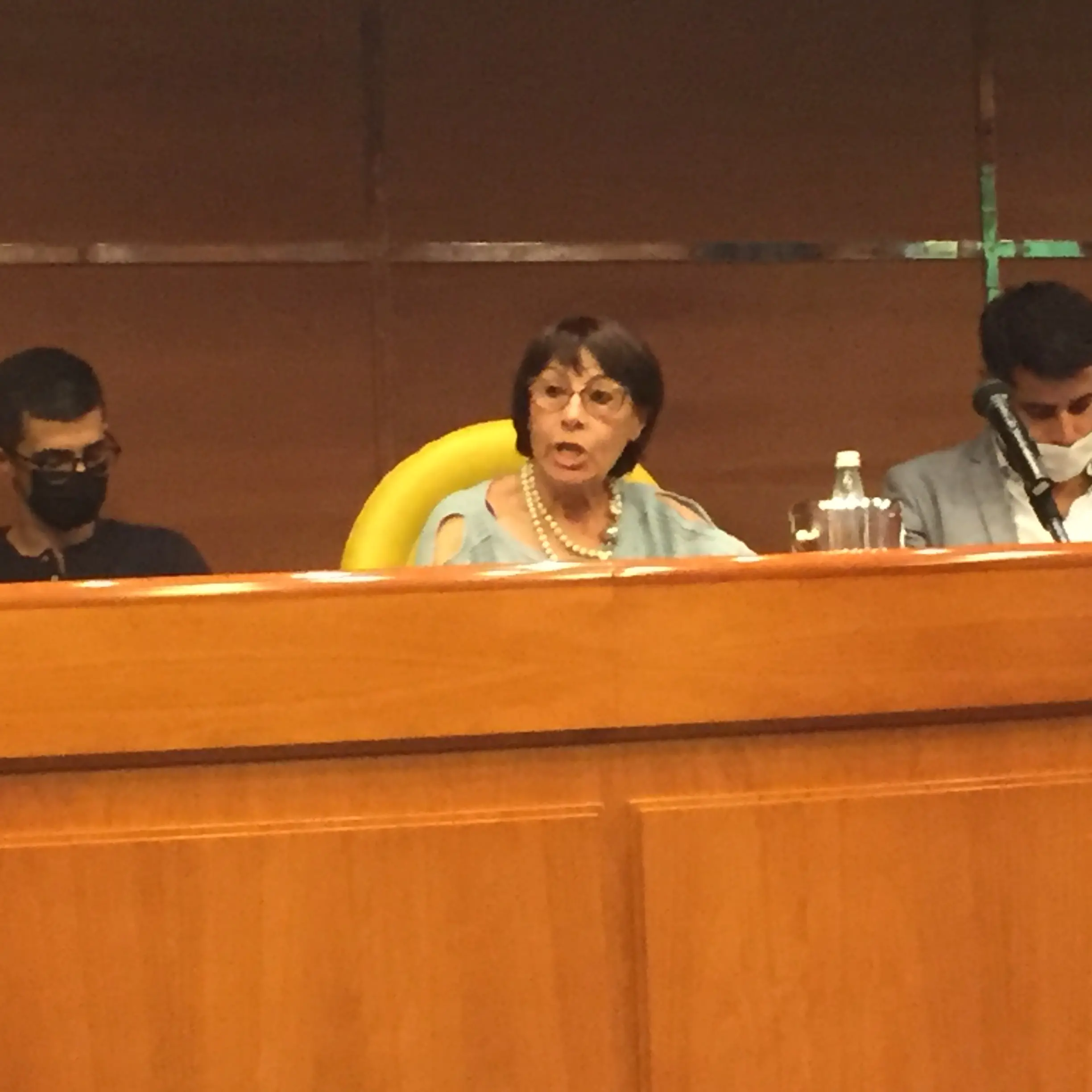 Strategie e sviluppo del porto di Vibo Marina, il punto con la Bruni