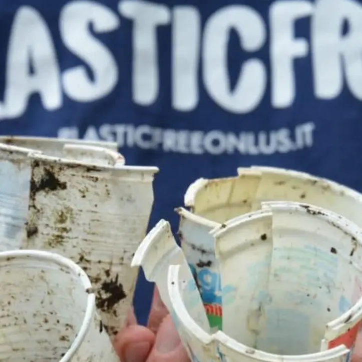 Vibo, i volontari Plastic free pronti a bonificare l’area lungo la statale 18