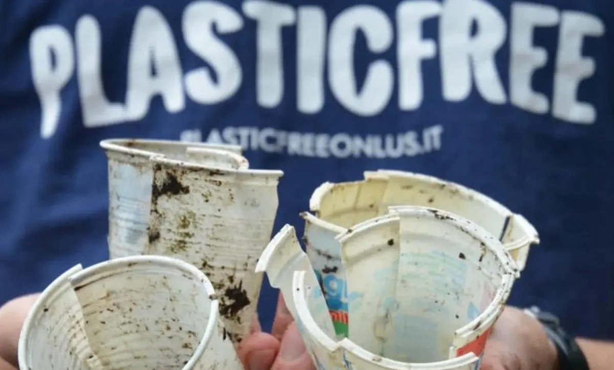 Tutto pronto per il Plastic free 2025 a Napoli: tra i Comuni premiati per la pulizia del territorio anche Parghelia e Jonadi