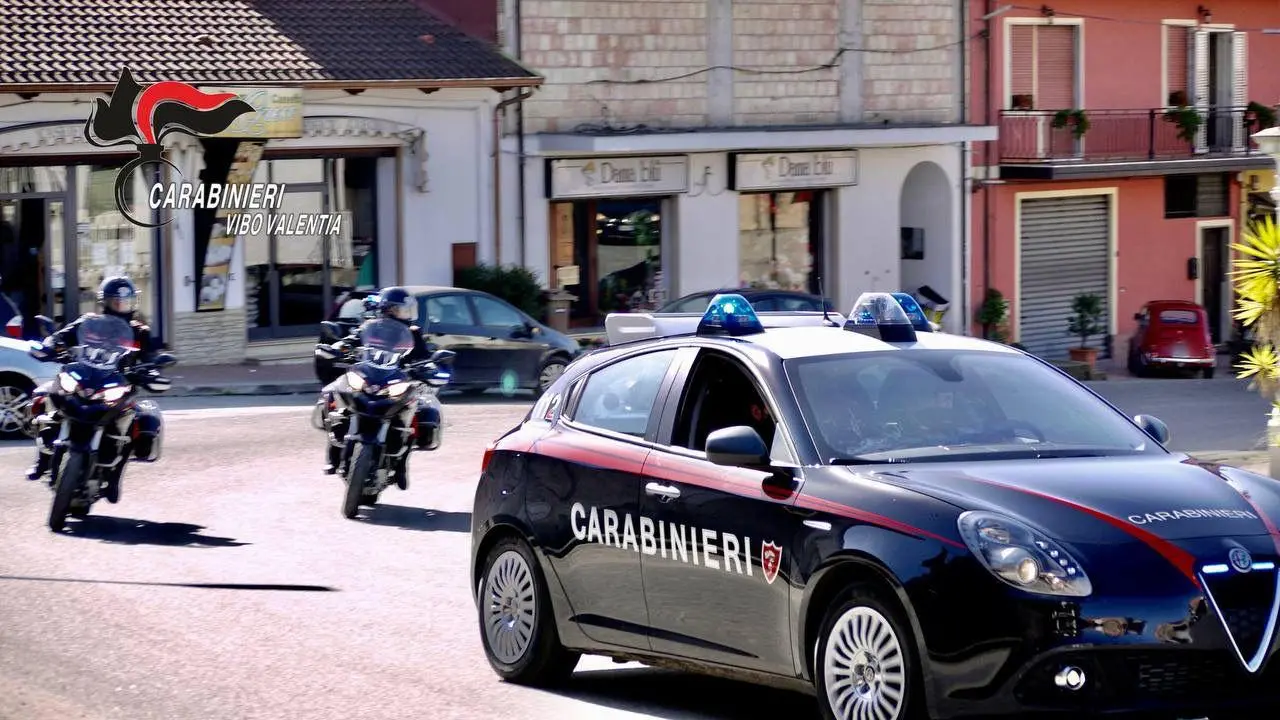 Cavallo di ritorno tra Gioia Tauro e il Vibonese, sgominata una banda di sette persone - Nomi
